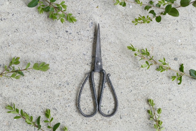 TAjiKA iron  HOUSEHOLD SHEARS