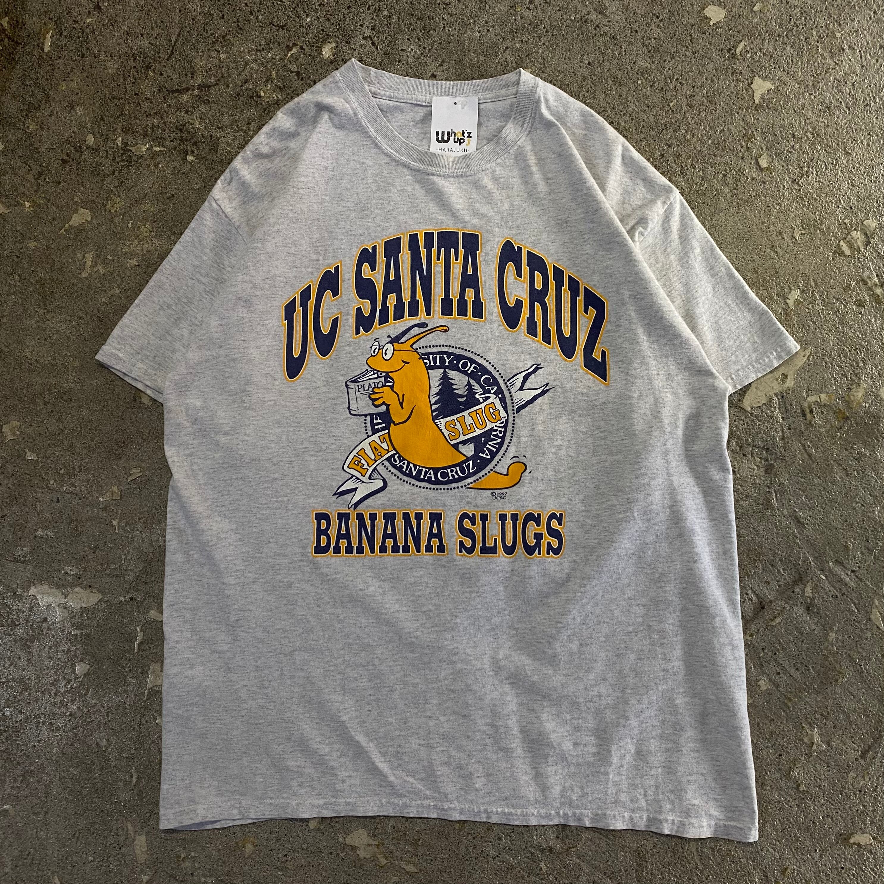 00s UC SANTA CRUZ T-shirt【仙台店】 | What