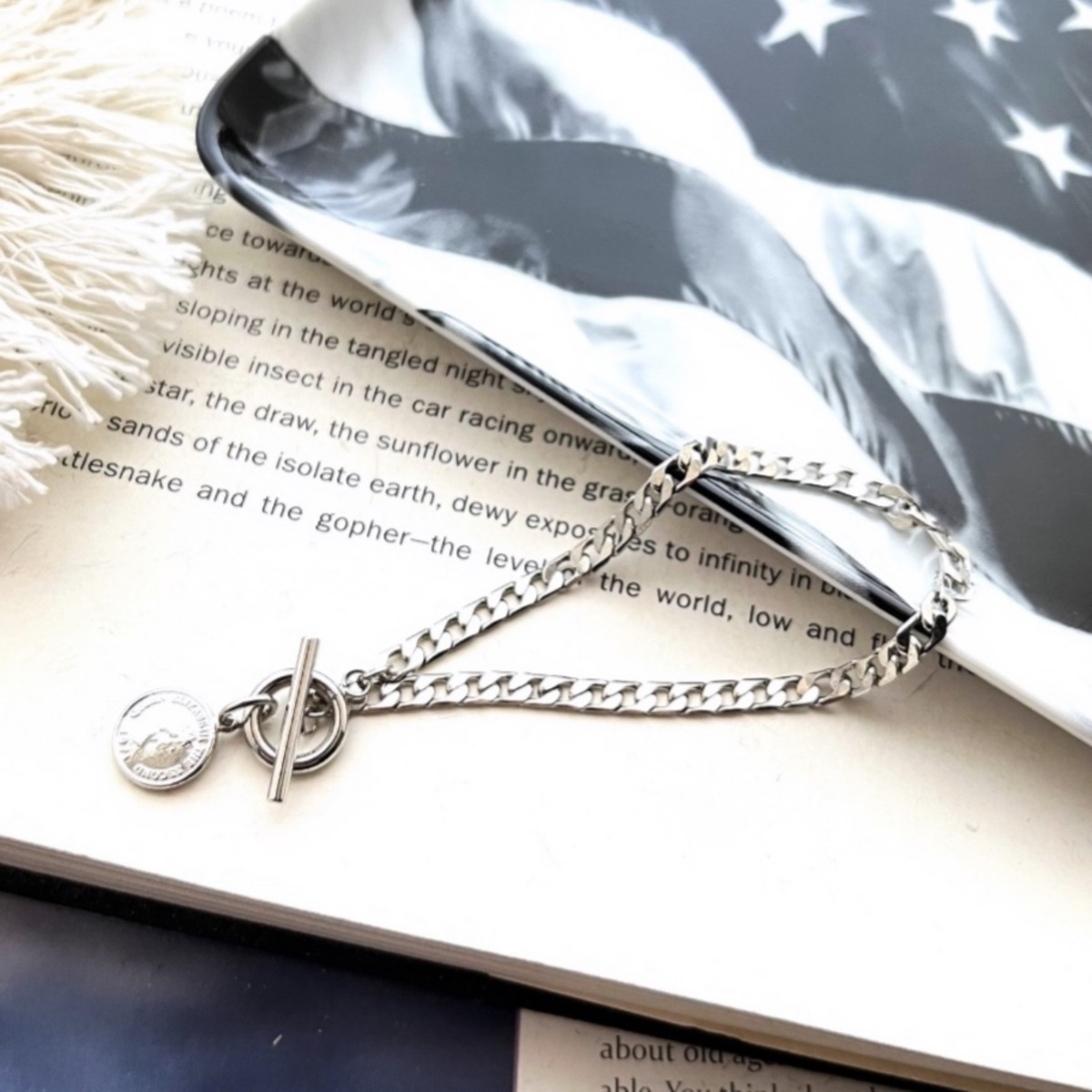 Coin Charm Bracelet 【SILVER】 | Akto