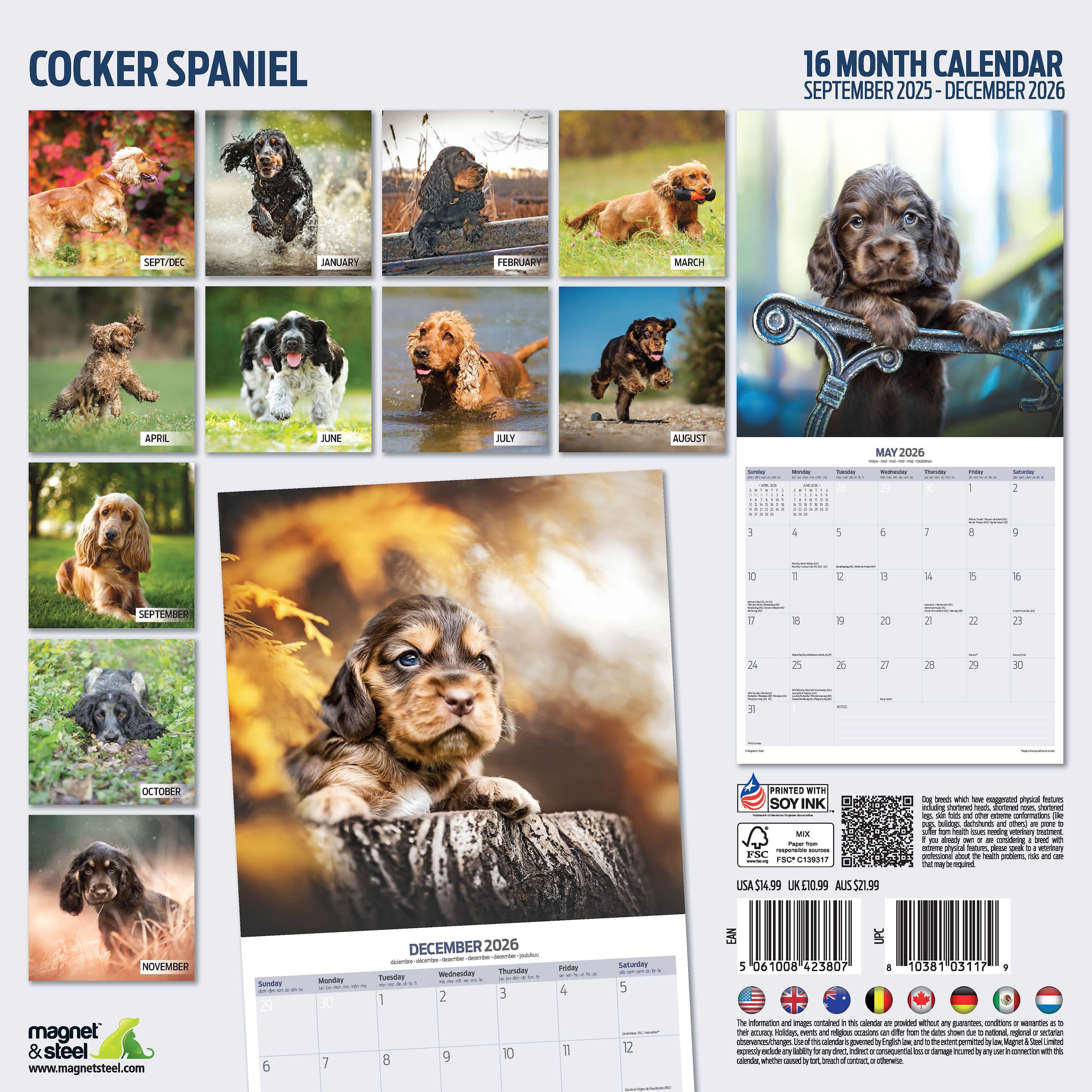 【2026年版】英国製犬種カレンダー【コッカースパニエル Traditional】 2026年版