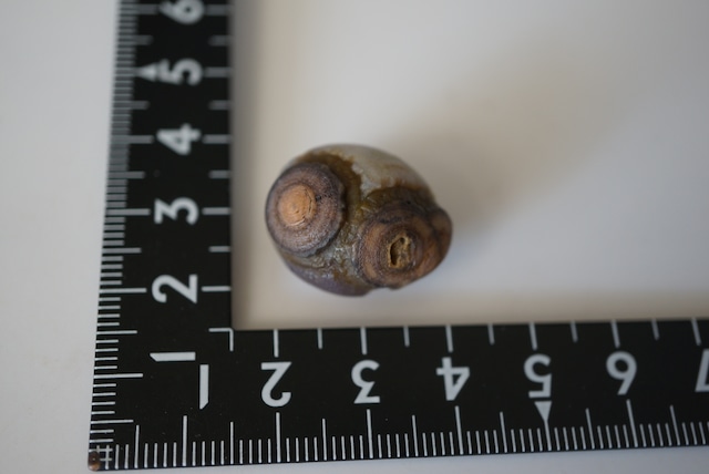 ゴビアゲート Gobi Agate 1685