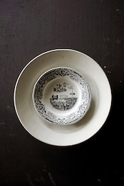 1860s Creil et Montereau Lebeuf Milliet et Cie 不可解ユートピア 謎のプレートc クレイユモントロー Rébus