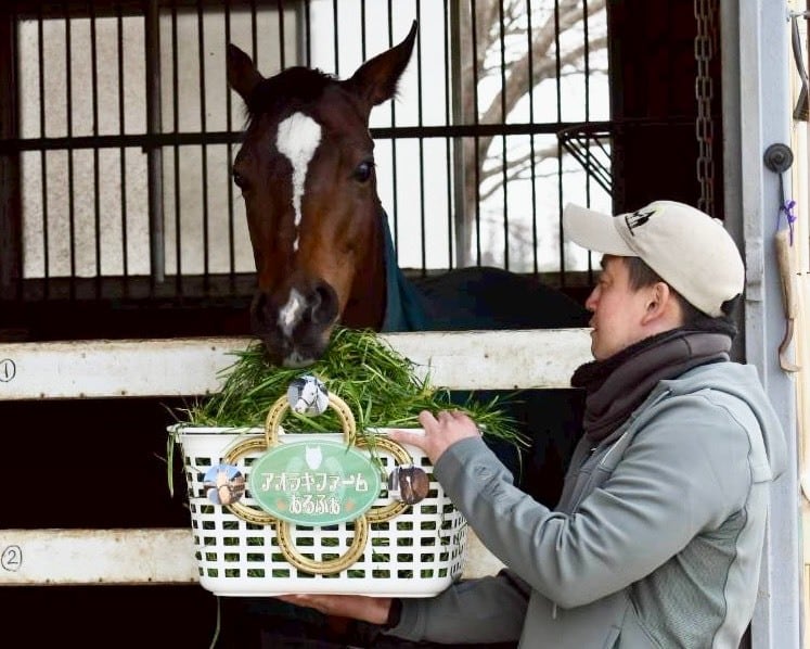 青草プレゼント【ポウナム】
