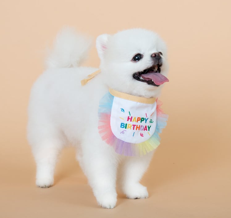 happy birthday cape  /  犬 首輪 おしゃれ 可愛い バンダナ 犬 アクセサリー 小型犬 中型犬 ペット用品 犬服 ドッグウェア ケープ