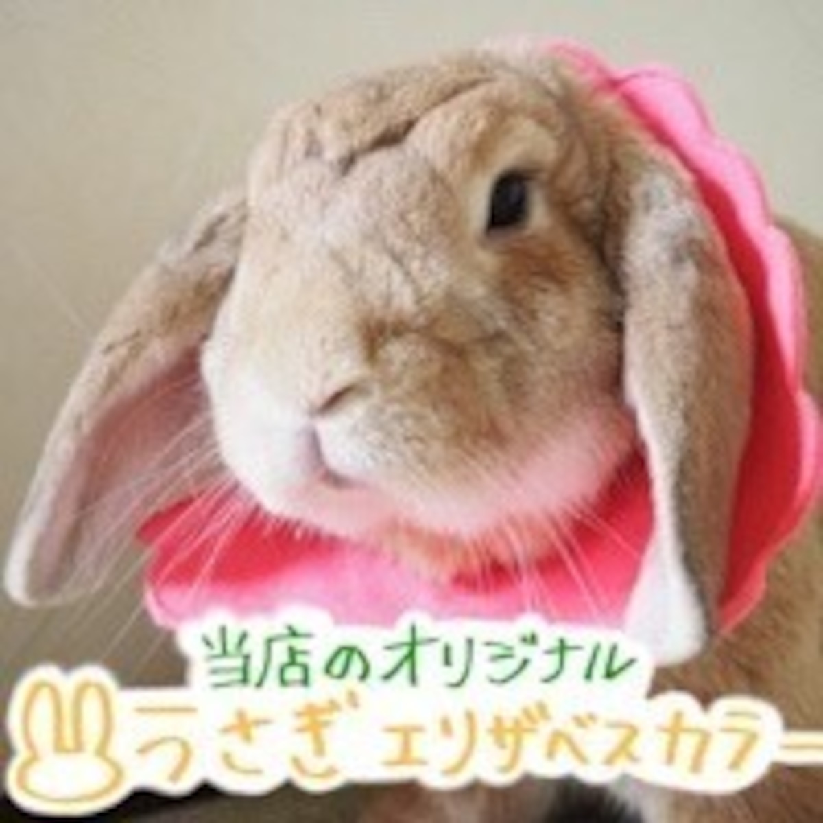 Chouchouオリジナル うさぎ用エリザベスカラー ウサギ用エリザベスカラー うさぎ術後ケア Chou Chou シュシュ うさぎ用品