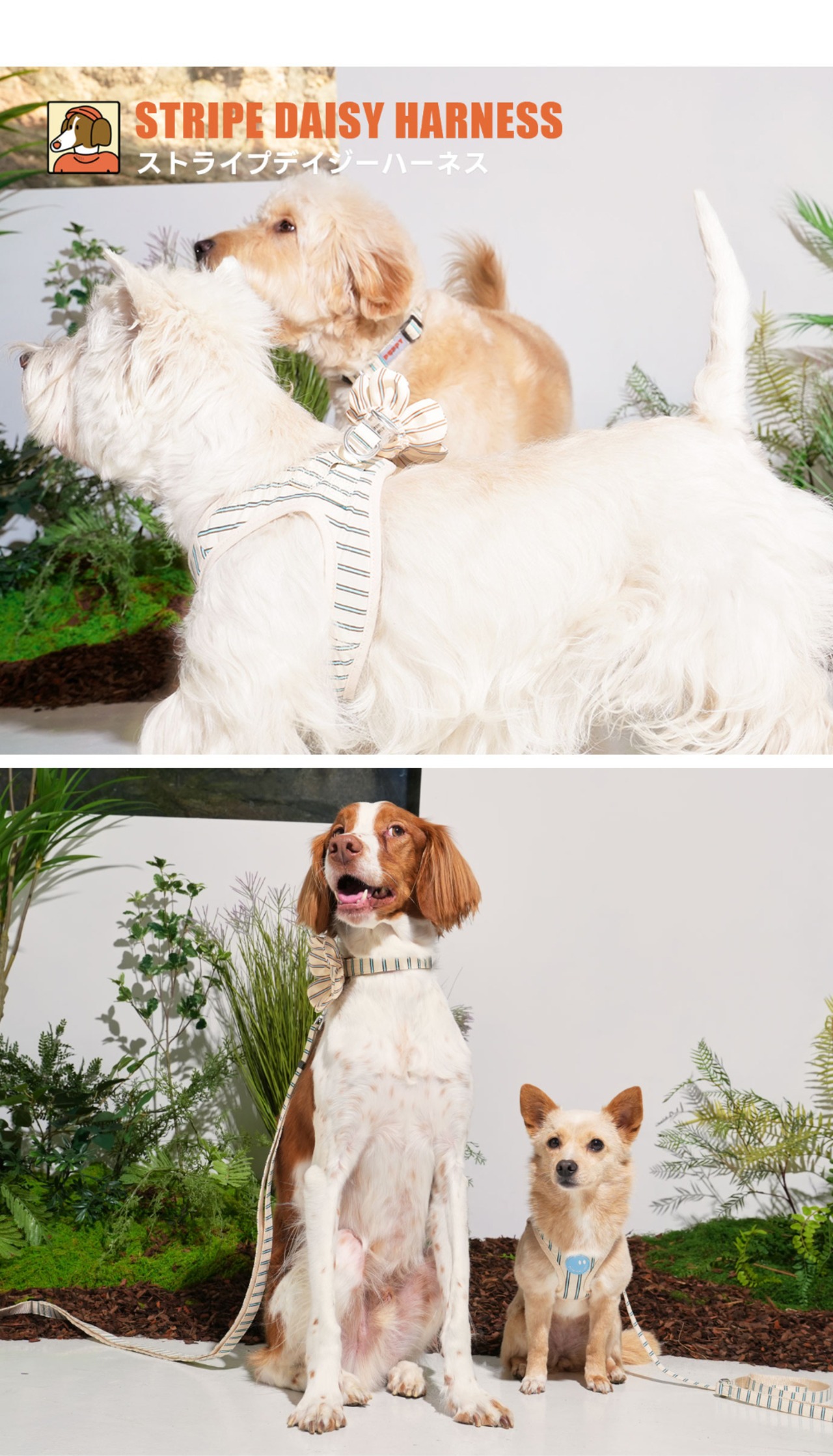【PUPPYGALLERY公式】ストライプデイジーハーネス L-XL
