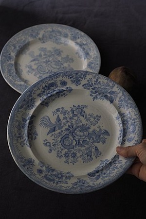 牡丹と高麗キジ、ディナープレート-england pottery plate_2
