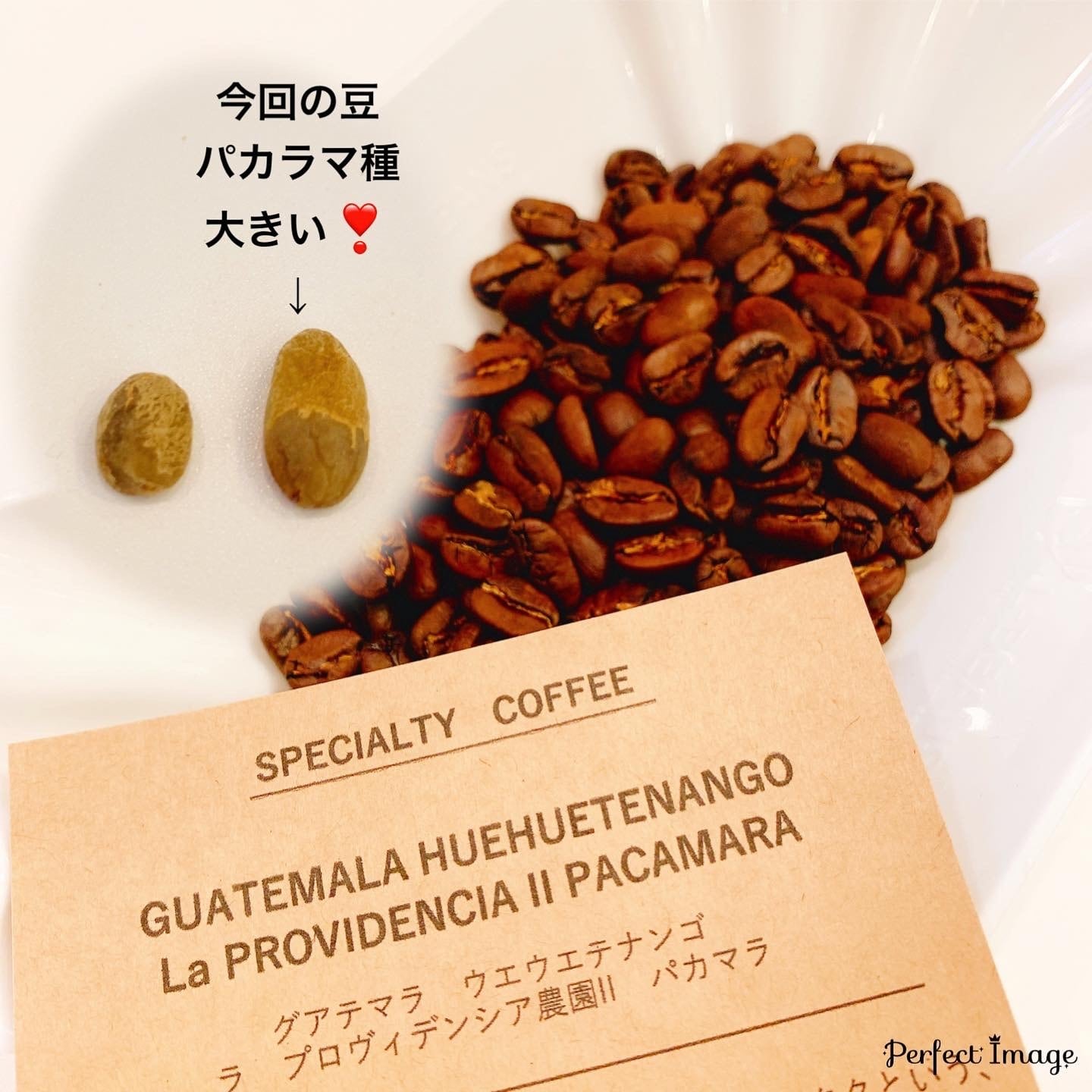 グアテマラSHB 200g 注文後焙煎 コーヒー豆