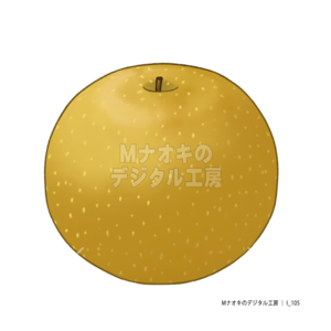 和梨　Japanese pear