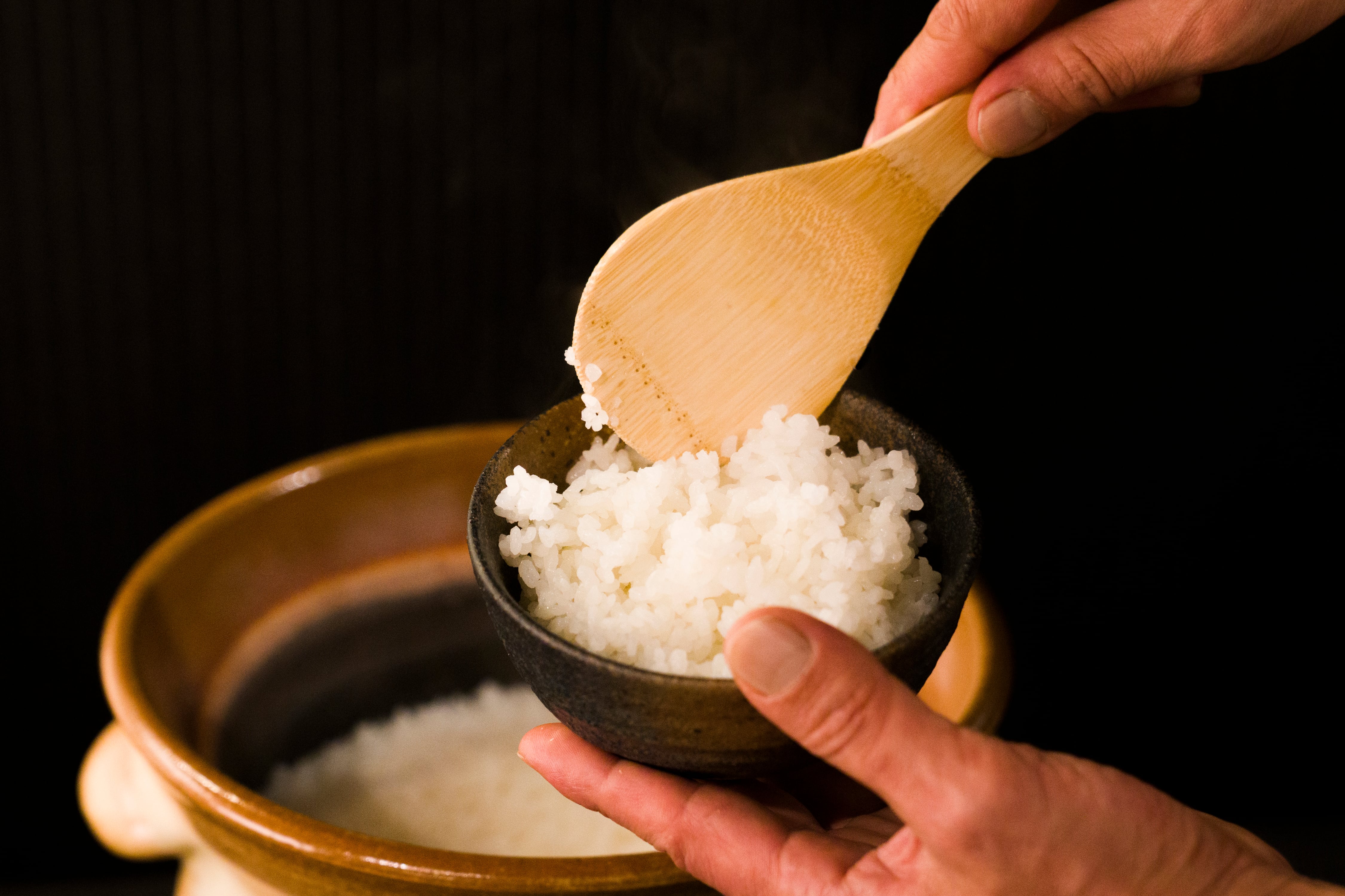 送料無料』【精米】5kg 特別栽培米こしひかり（令和7年 福島県産