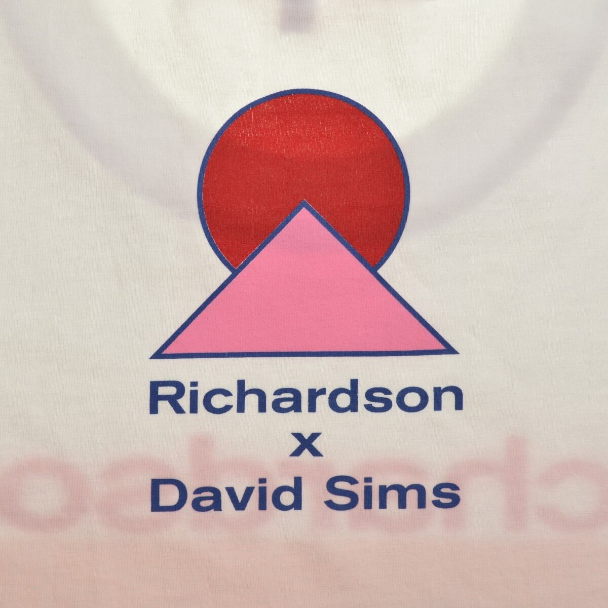 専門ショップ RICHARDSON DAVID SIMS Tシャツ Tシャツ/カットソー(半袖 ...
