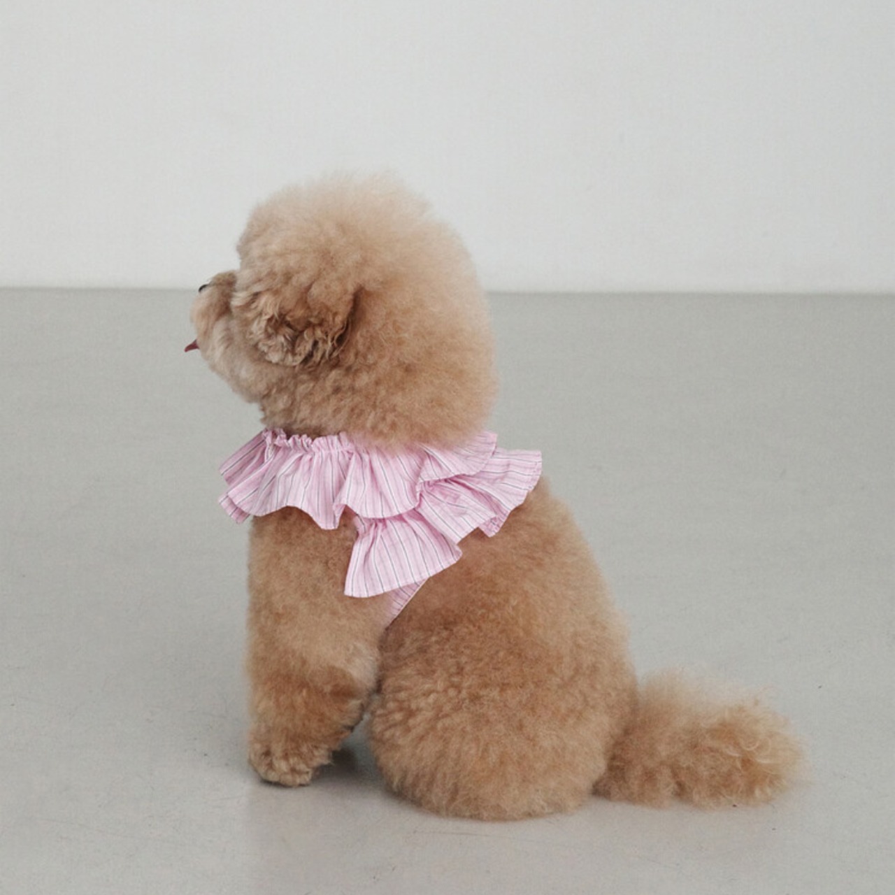【予約】[ OHDIBS ] CAPENESS leash｜NO.19 _PINK STRIPE - 4