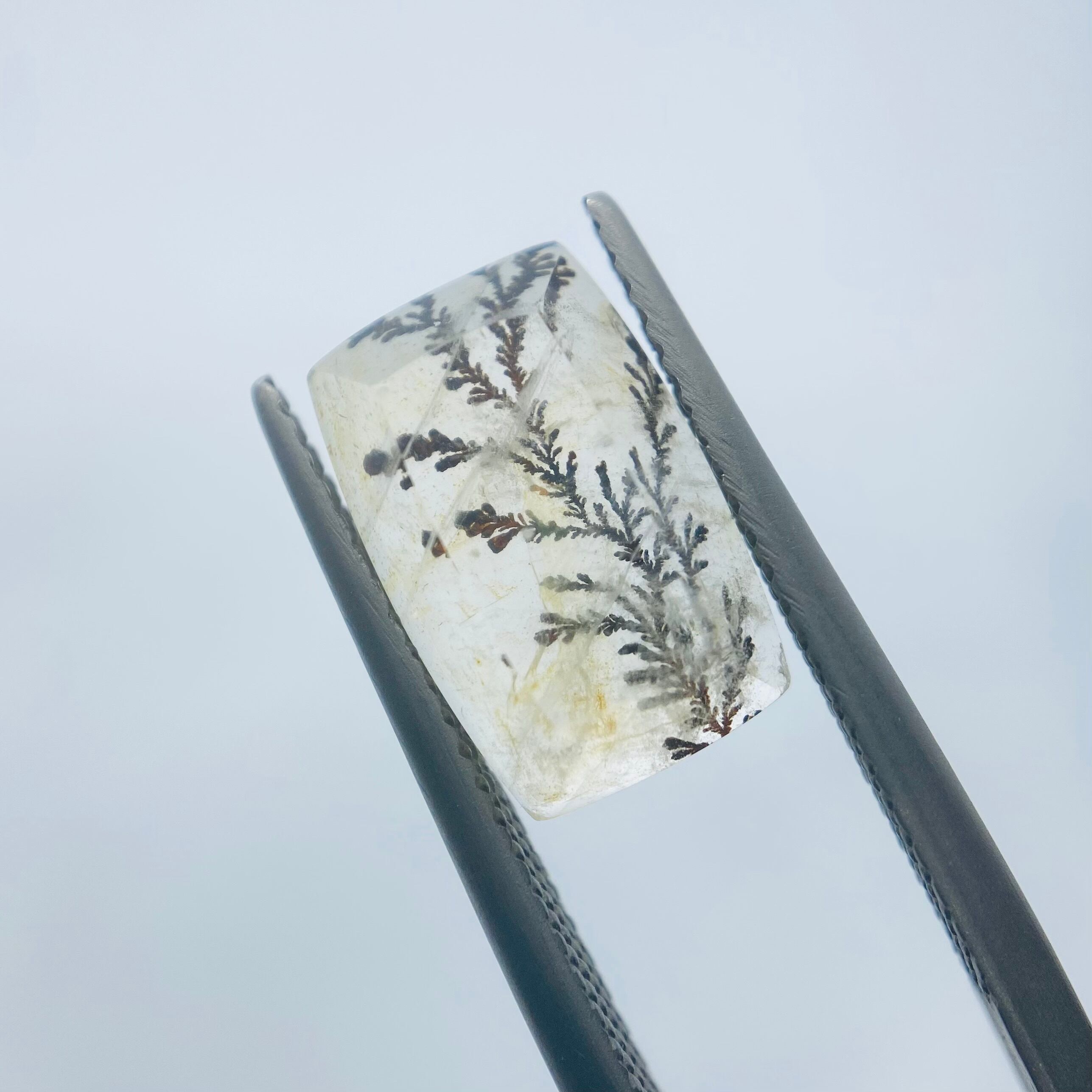 インスタライブご紹介　デンドリティッククオーツ