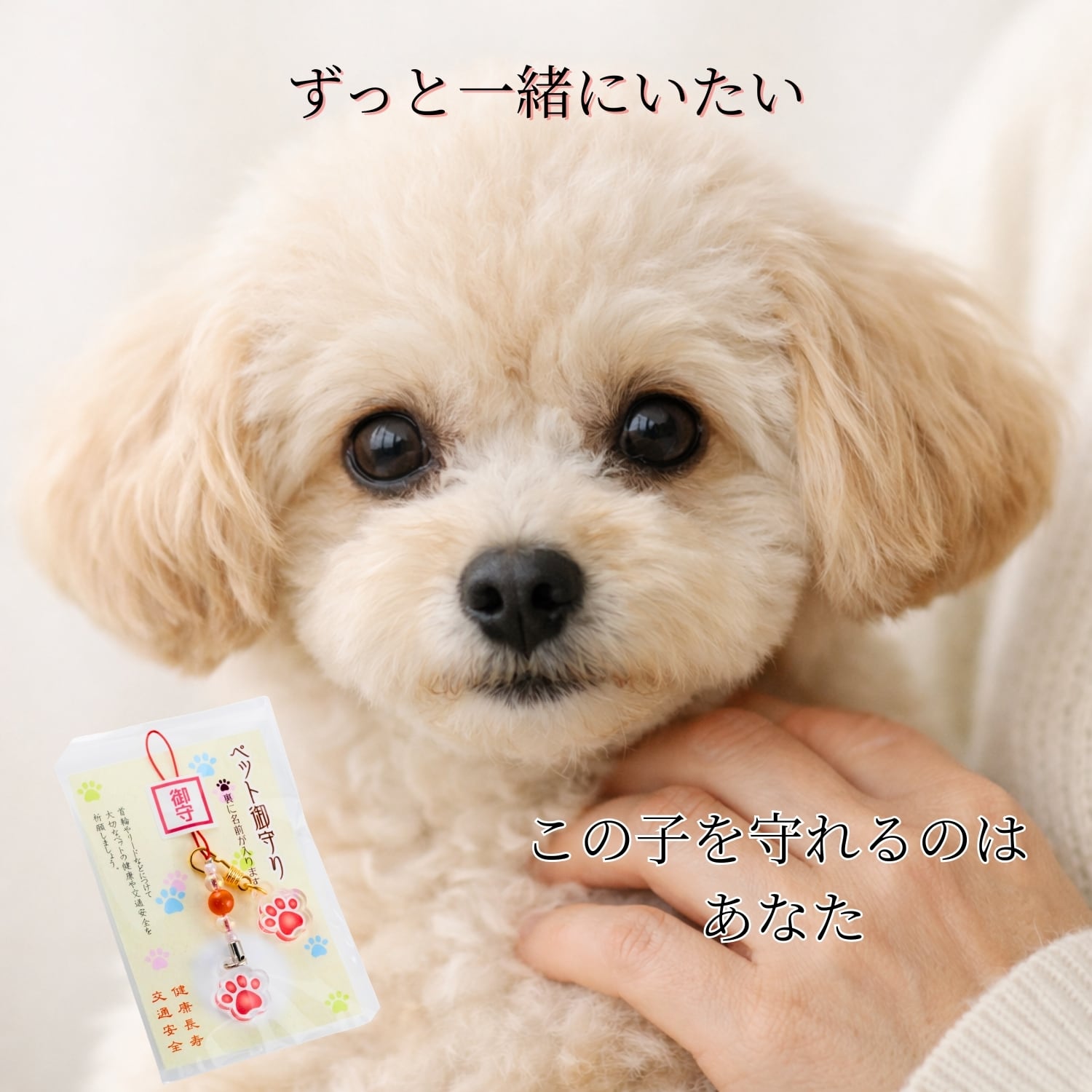ペット御守り 肉球ネームプレート 根付 キーホルダーセット｜犬 猫
