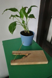 木のお香立て　カエデ