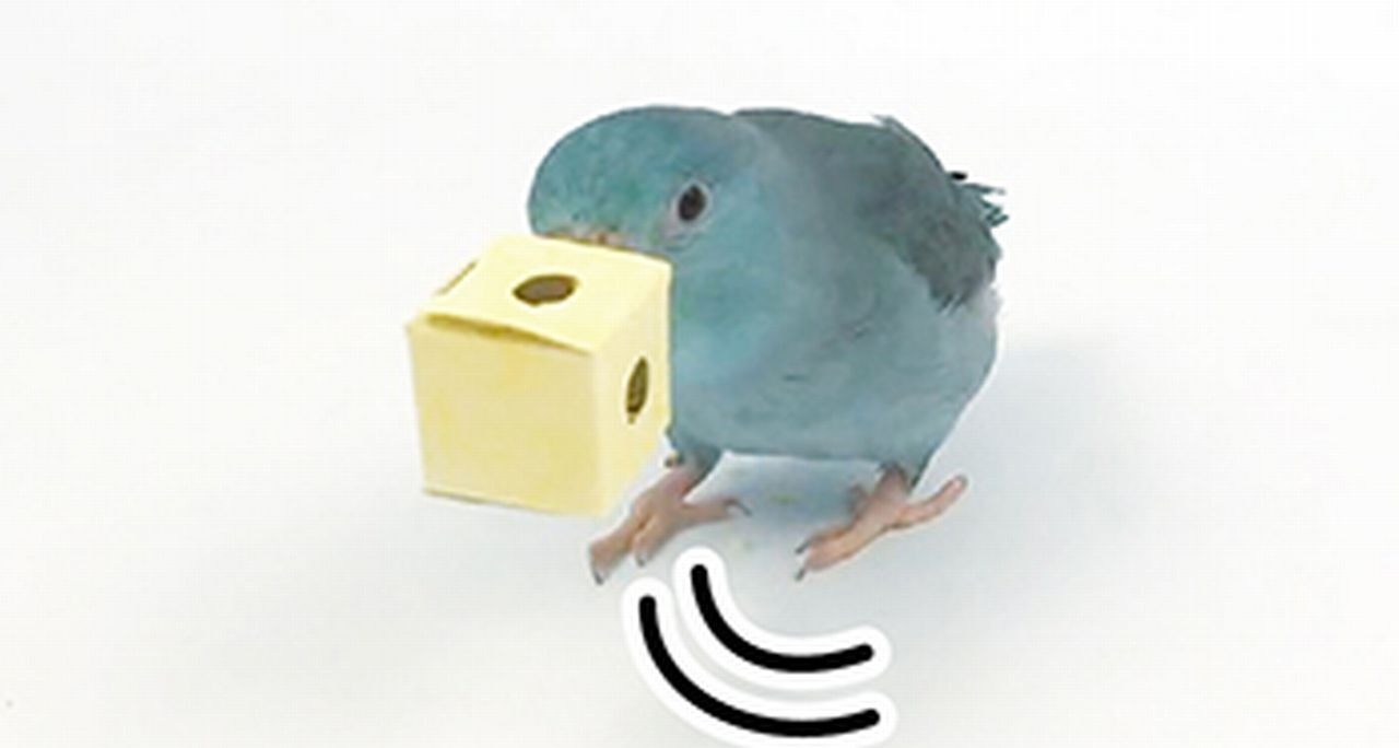 【三晃商会】　フォージング入門 　ペーパーボックス