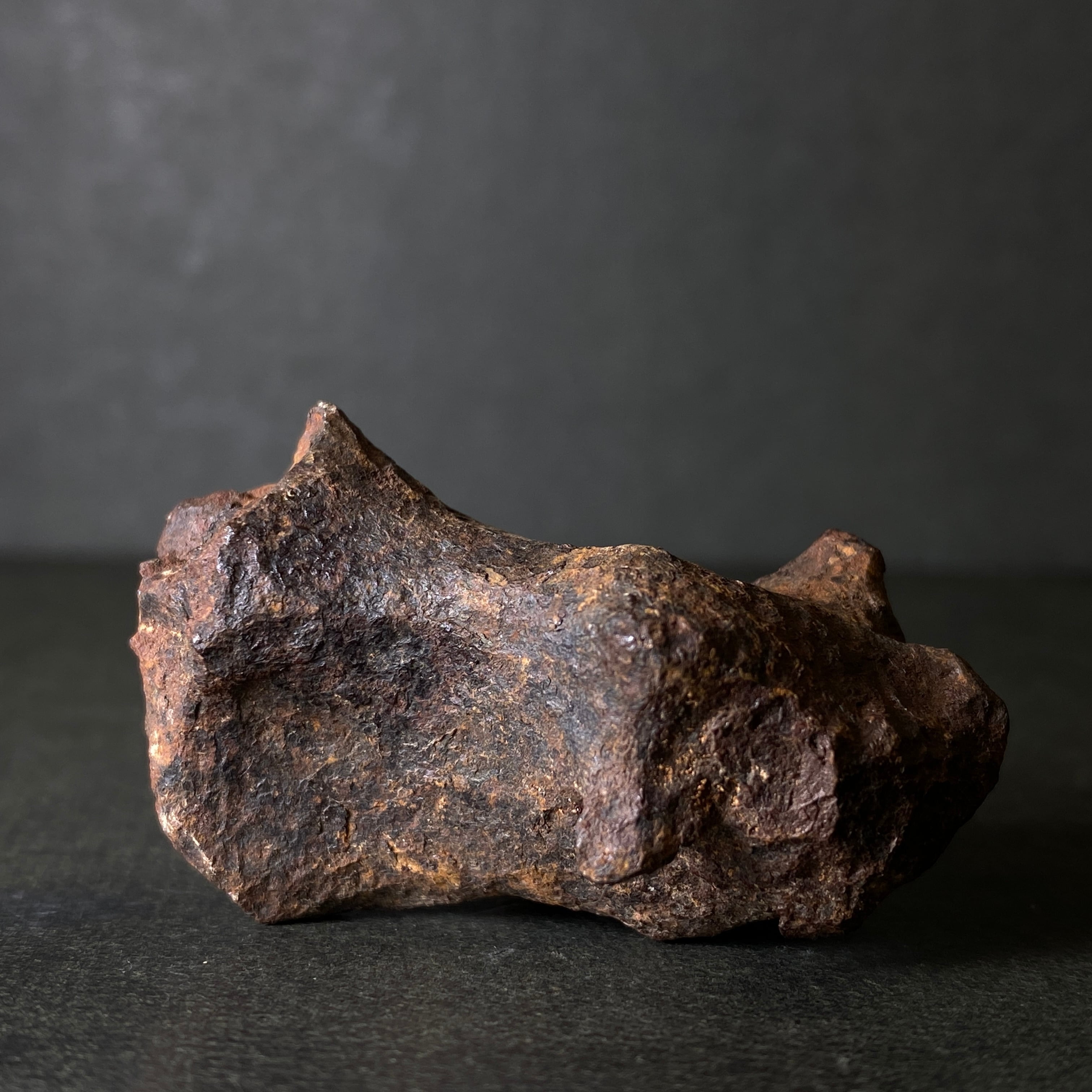 大型】マンドラビラ隕石 Mundrabilla Meteorite 26061217 | 【隕石屋