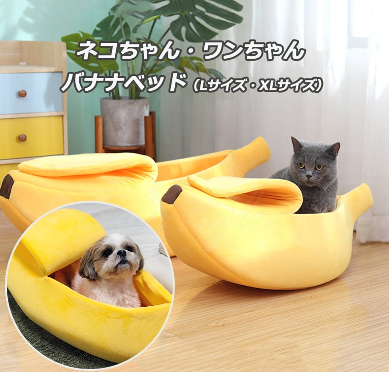 ab9f1e3a7c32bec7b49a9b0431c290