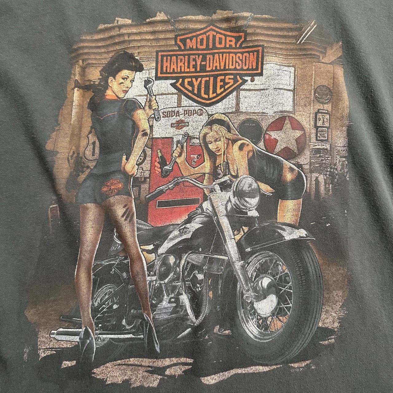 HARLEY DAVIDSON ハーレーダビッドソン 両面プリント ネバダ州