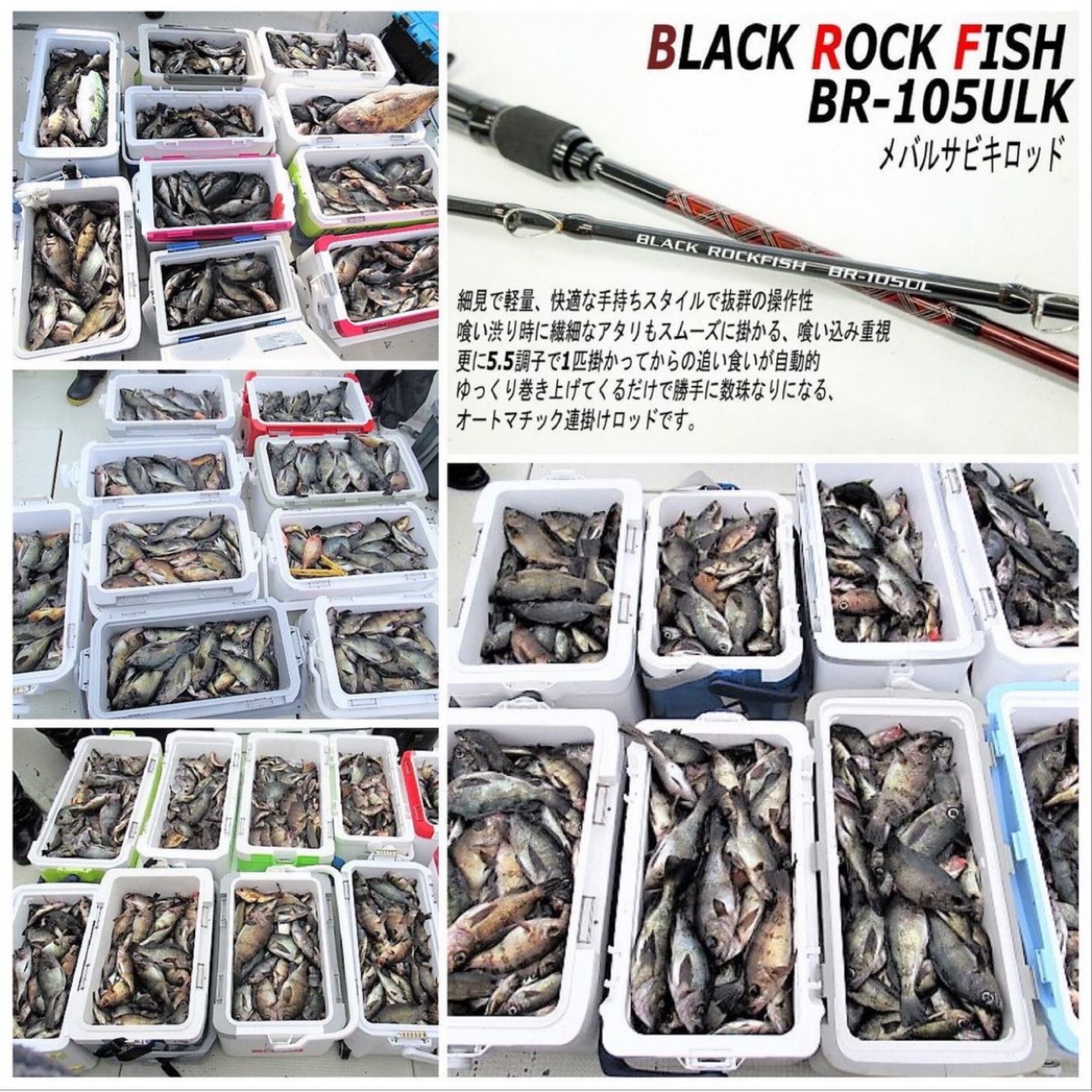 【Igurei】BLACK ROCK FISH / BR105UL（メバルサビキ専用ロッド） NFS