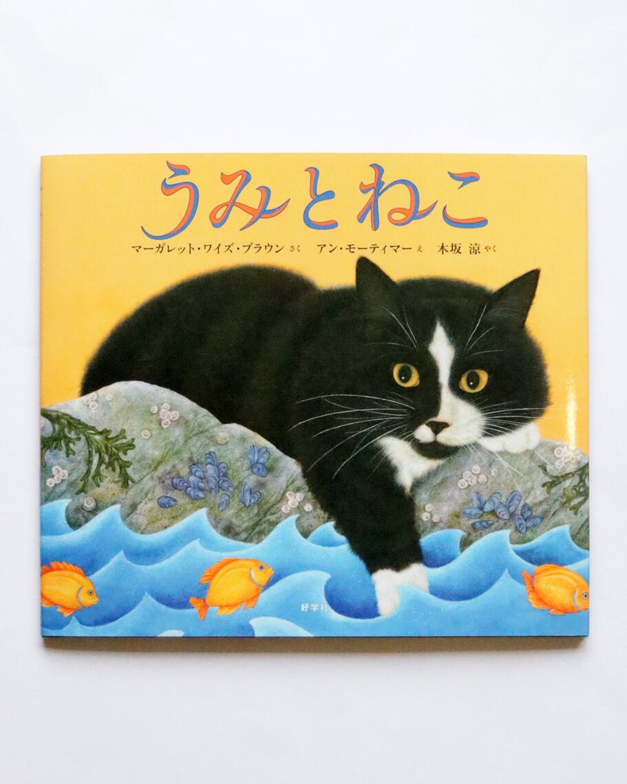 うみとねこ | かぎしっぽ