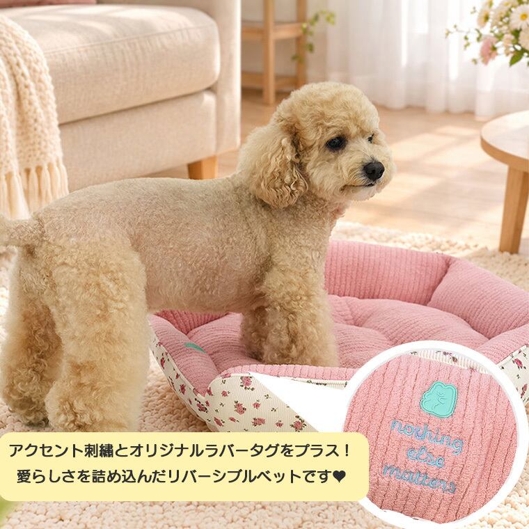 【予約販売10%OFF】jelly bear reversible bed 2color / 犬用 ベッド リバーシブル 両面 ふんわり 冬 可愛い クッション ペットマット 猫用 韓国 ペット用品 小型犬 中型犬 ハウス 高級 犬 ペットベッド