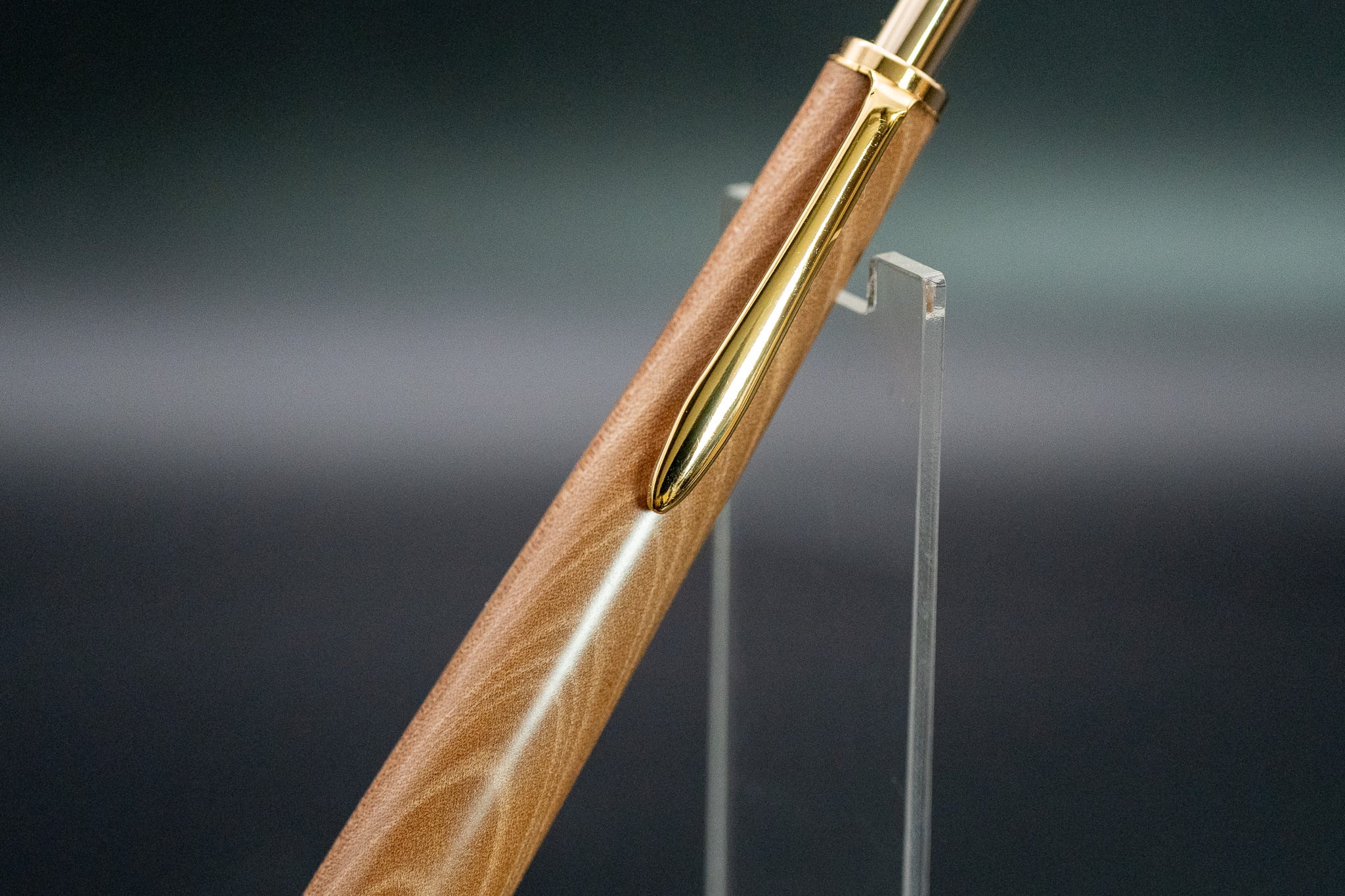 【茶花の女王】椿 gold MP