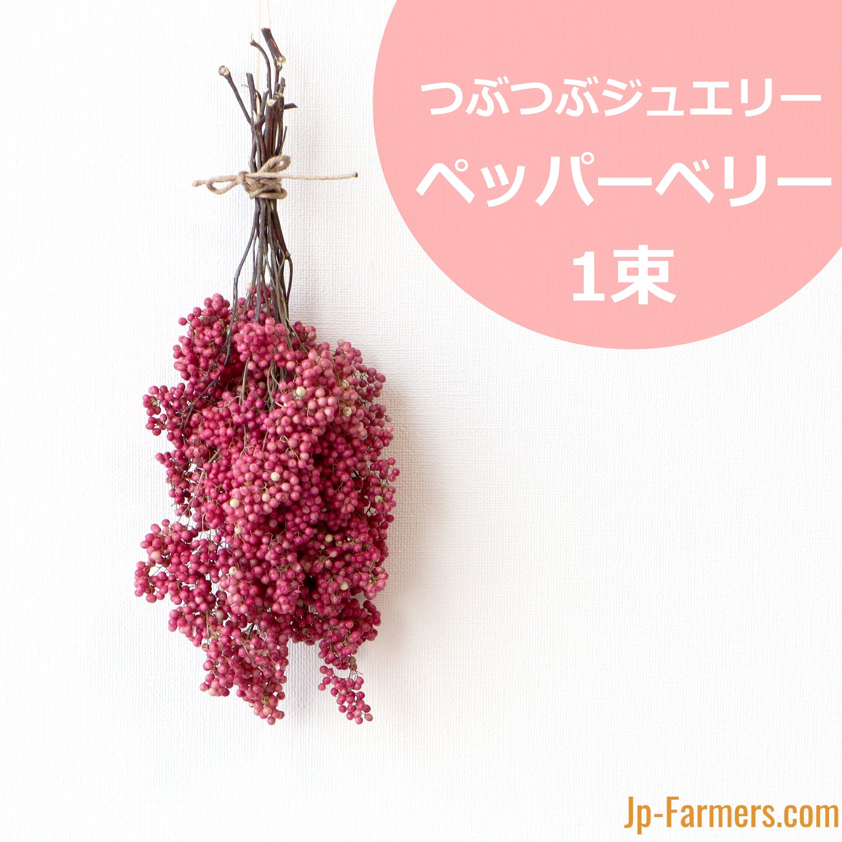新色追加して再販 ペッパーベリー ピンク 花材 ドライフラワー 紫 ピンクペッパー