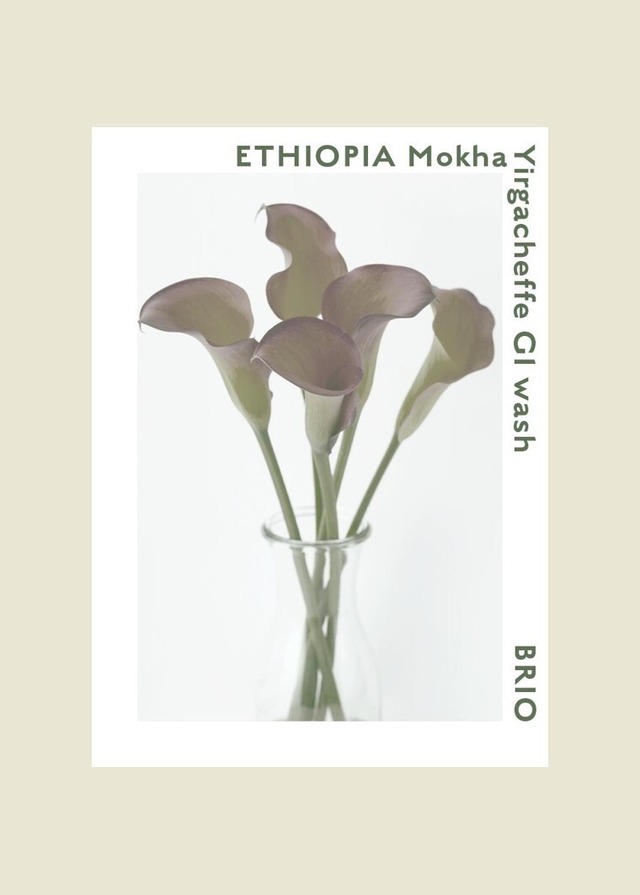 エチオピアモカ　ETHIOPIA Mokha Yirgacheffe G1 wash     150g/300g　中浅煎り