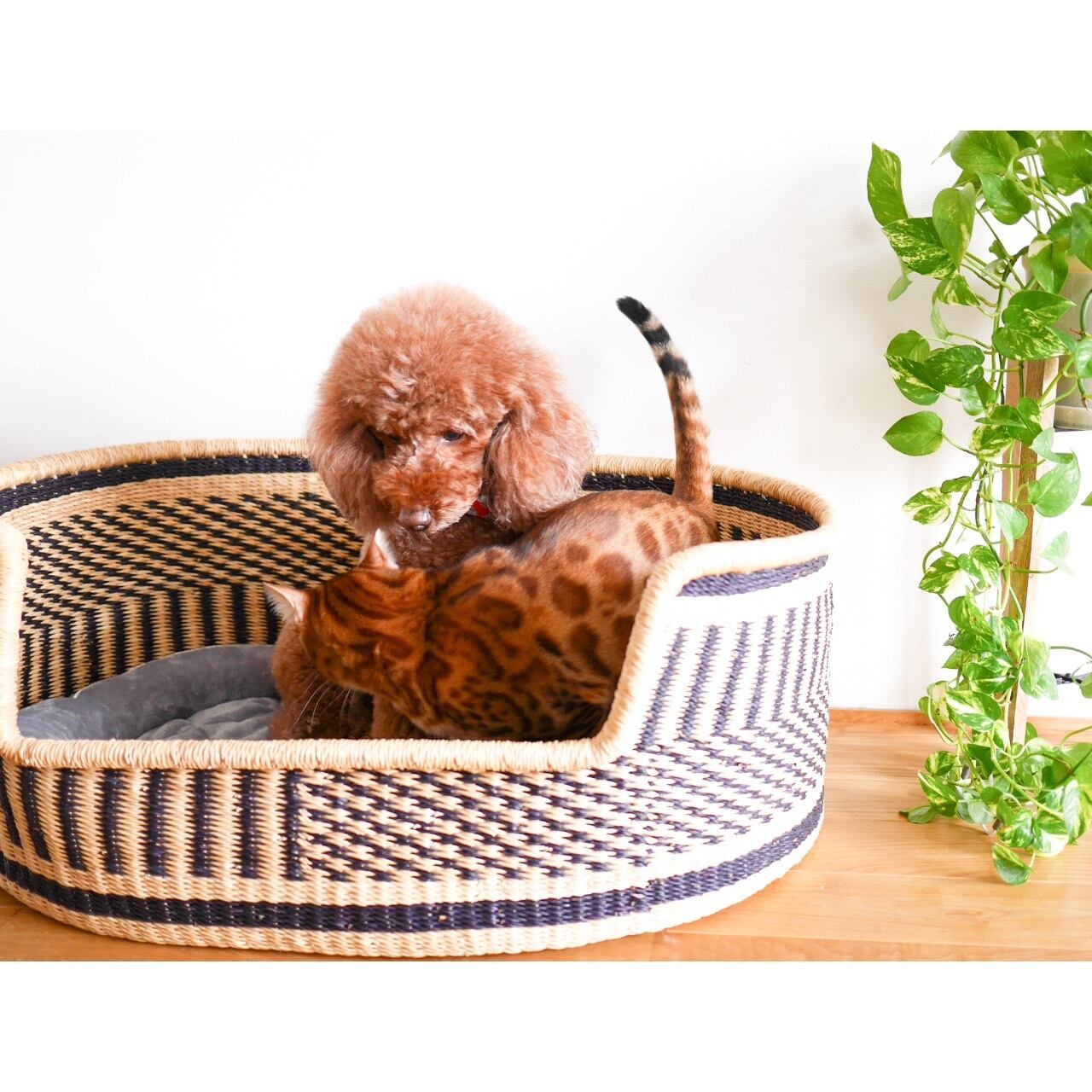 African Basket ペットベッド　犬　猫
