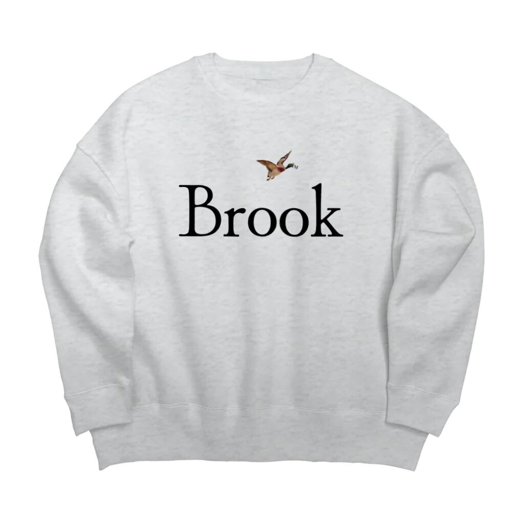 Ash(2024aw BrookLogo Stolen