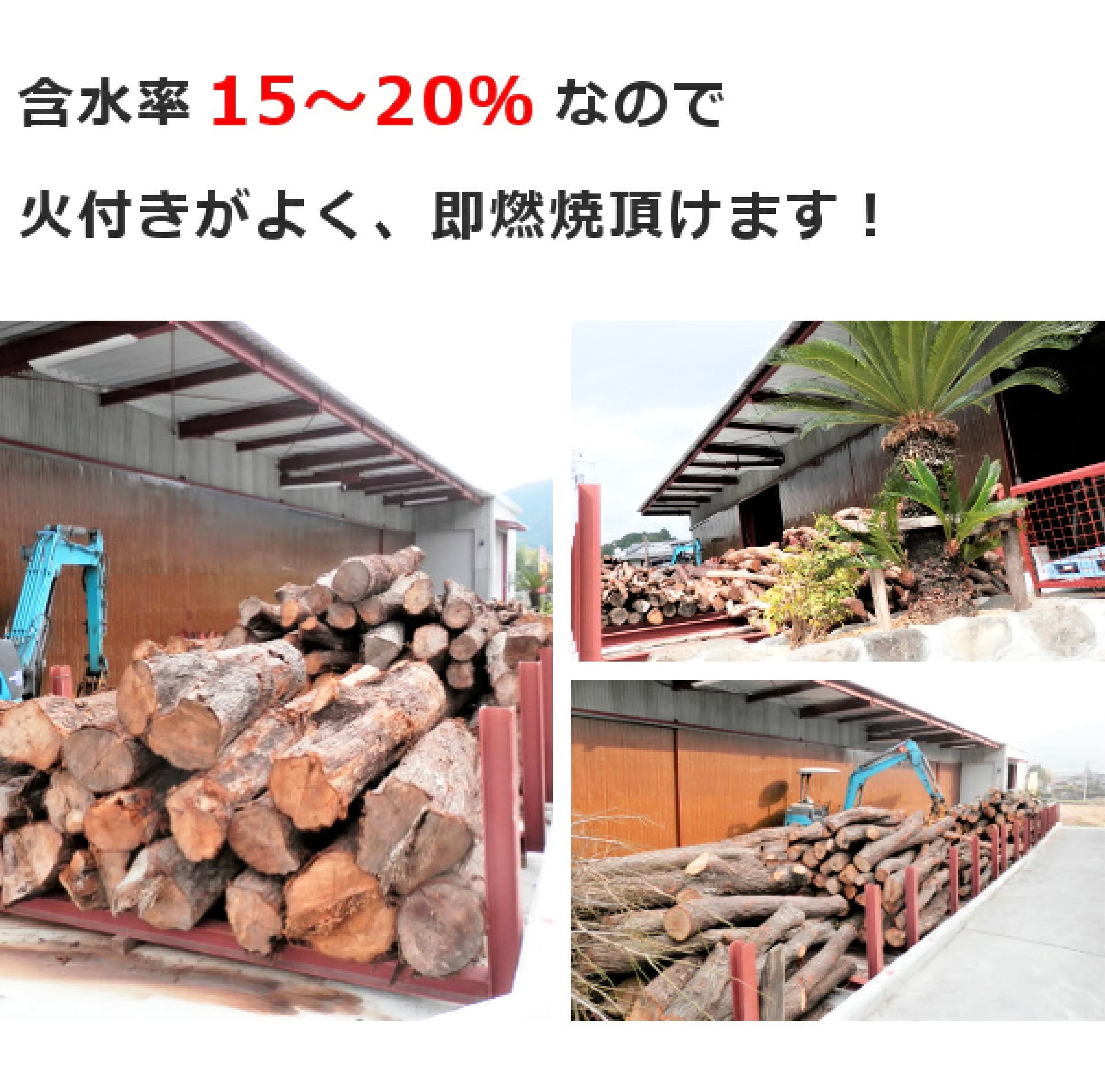 薪 楠の木 25kg 森の香楽樹 クスノキ 樟 広葉樹乾薪 キャンプファイヤー | 森の国工房