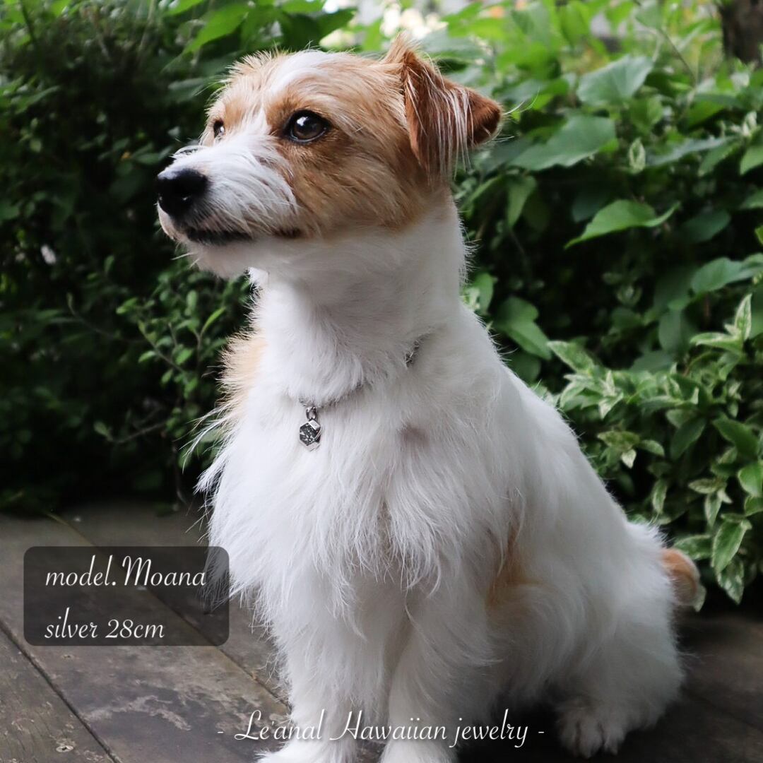 犬猫＆人用】第4期再入荷⭐︎ヘキサゴンネックレス | Le'anal