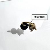 ダルメシアンと夜のお散歩