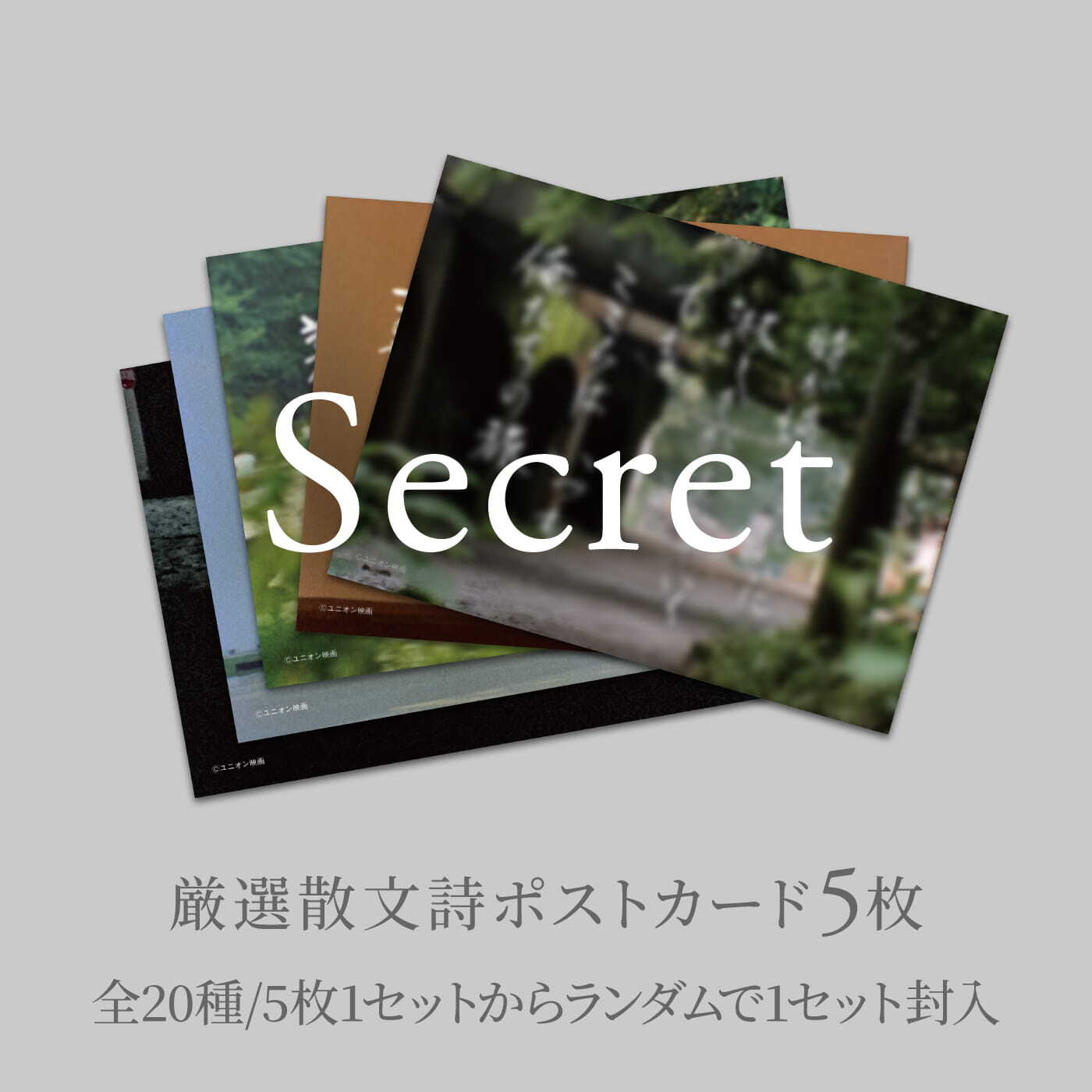 五十年目の俺たちの旅』DVD 通常盤 | Ceremony SHOP