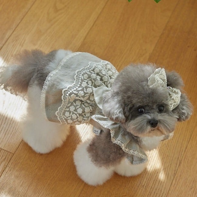 犬服 ドッグウェア ロマンティックレース リボンワンピース 春物