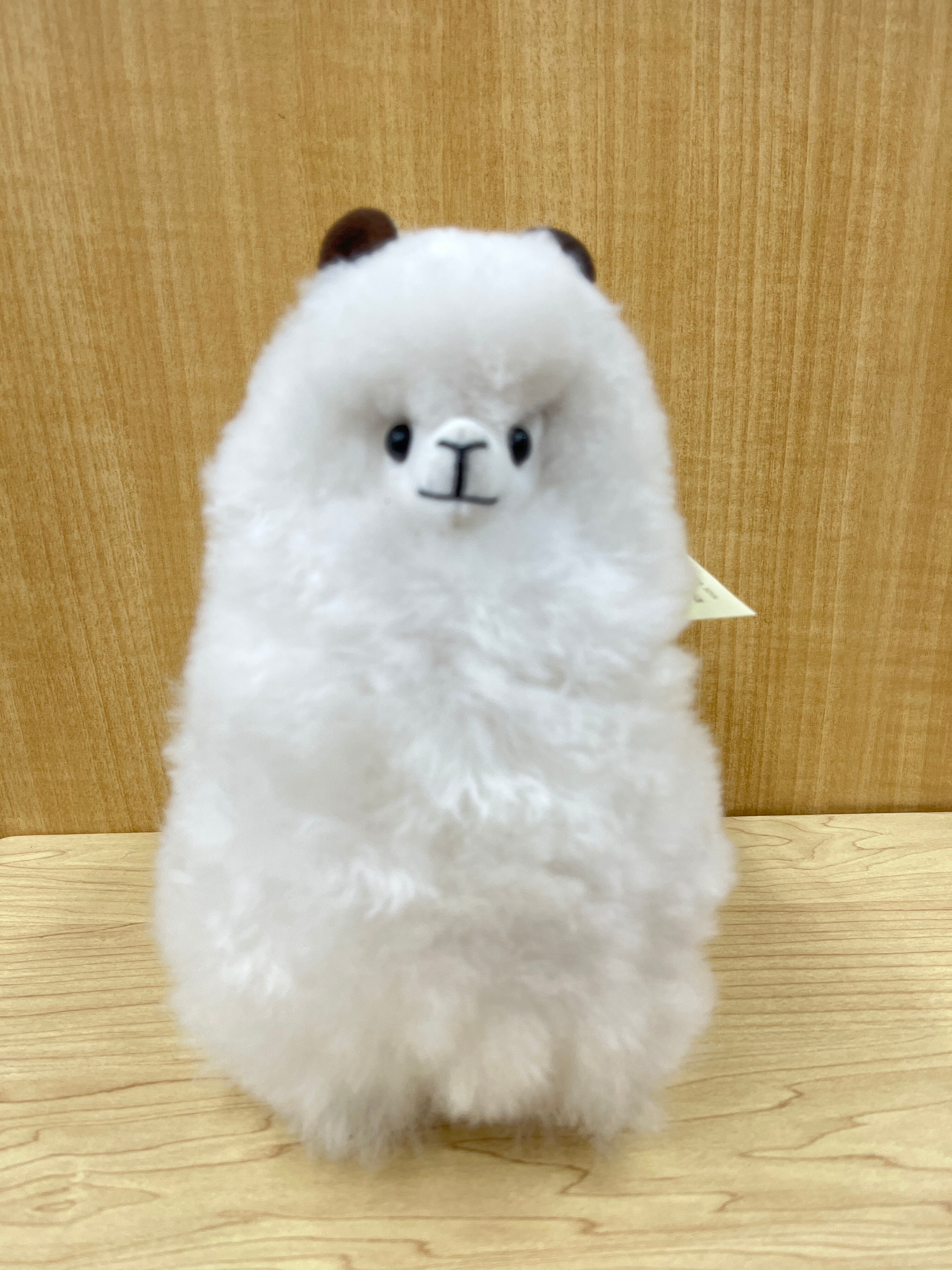 新品未使用 ベアミトン テディベアミトン アルパカ素材 楽天市場】【10/18～10/20限定・最大2万円OFFクーポン配布中