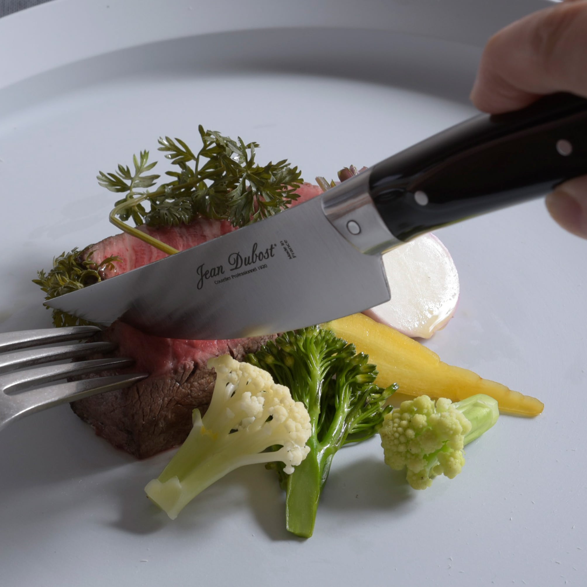 ジャンデュボ ステーキナイフ ビストロノミー オリーブ | ザッカ