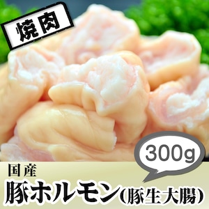 豚ホルモン（豚生大腸）300ｇ【冷蔵】焼肉･BBQ　