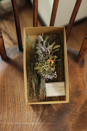 【Exhibition 道草】　草木帖A　＜BOXアレンジ＞