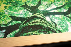 動物画国際コンクール最優秀賞受賞作「Mother Tree」複製画　能登ヒバ額限定５作品