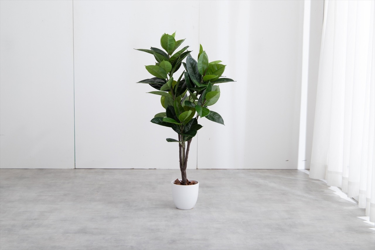 【高さ95cm】Nature 光触媒人工観葉植物 ゴムの木