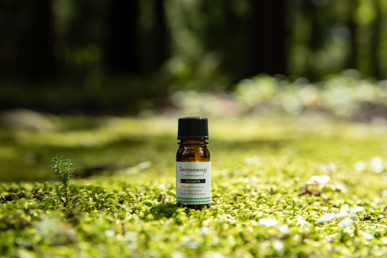 タテヤマスギの精油（5ml） ｜ アロマセレクト | 水と匠 公式通販