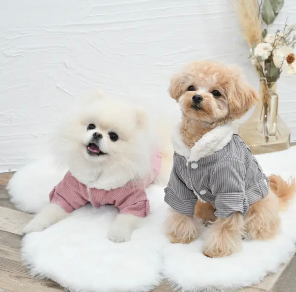 ミモザワンピース】犬服 わんこ服 ワンピース スカート | Pay ID