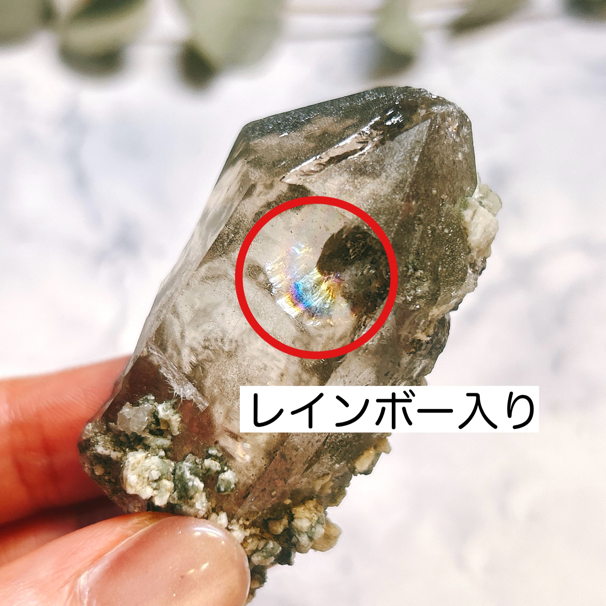 ⌂[原石]スモーキークォーツ（煙水晶） | クリスタル・ワールド御徒町店