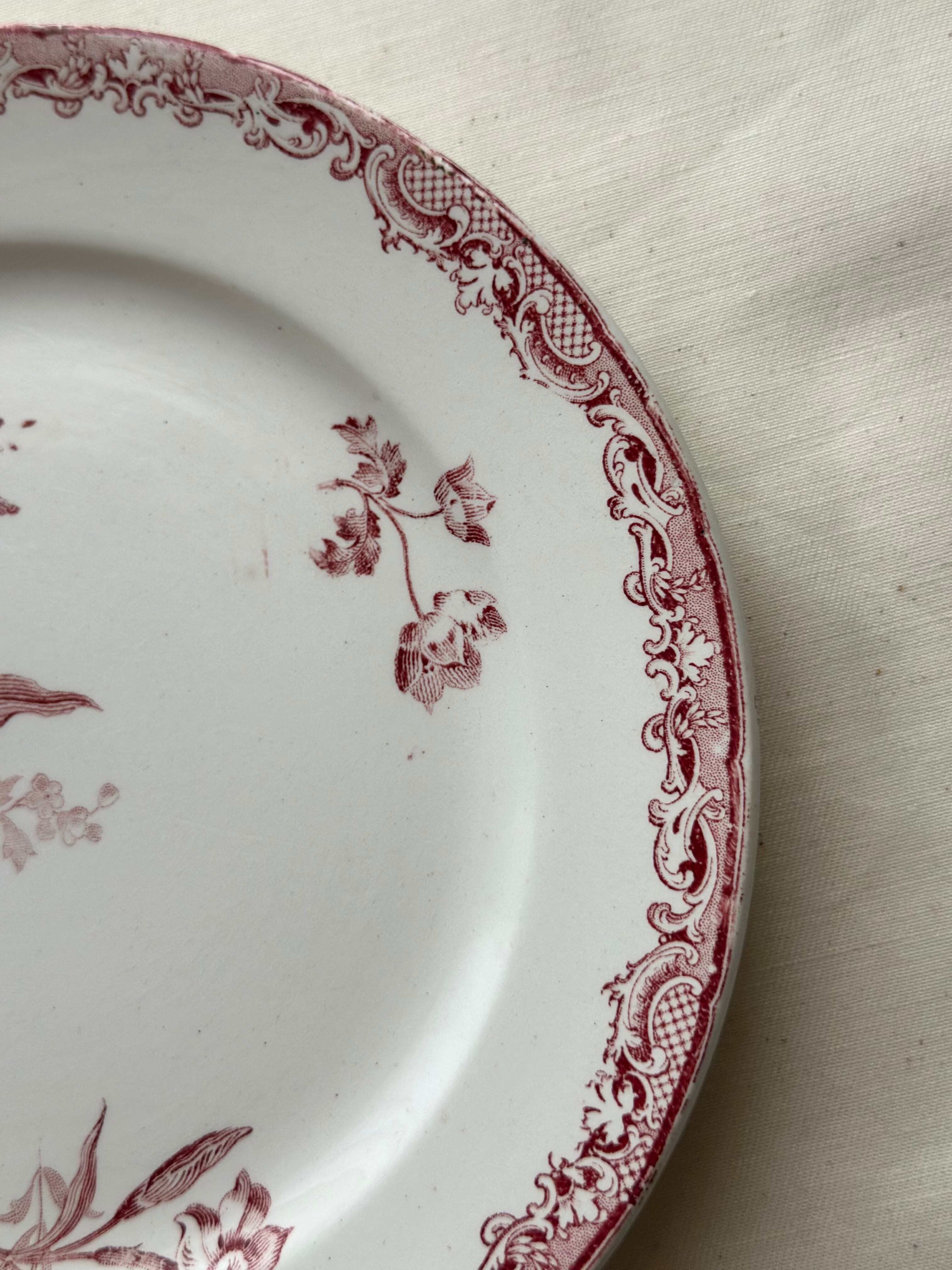 ②サルグミンヌ FONTANGES ディナープレート 17 フランスアンティーク サルグミンヌ Fontanges ディナー