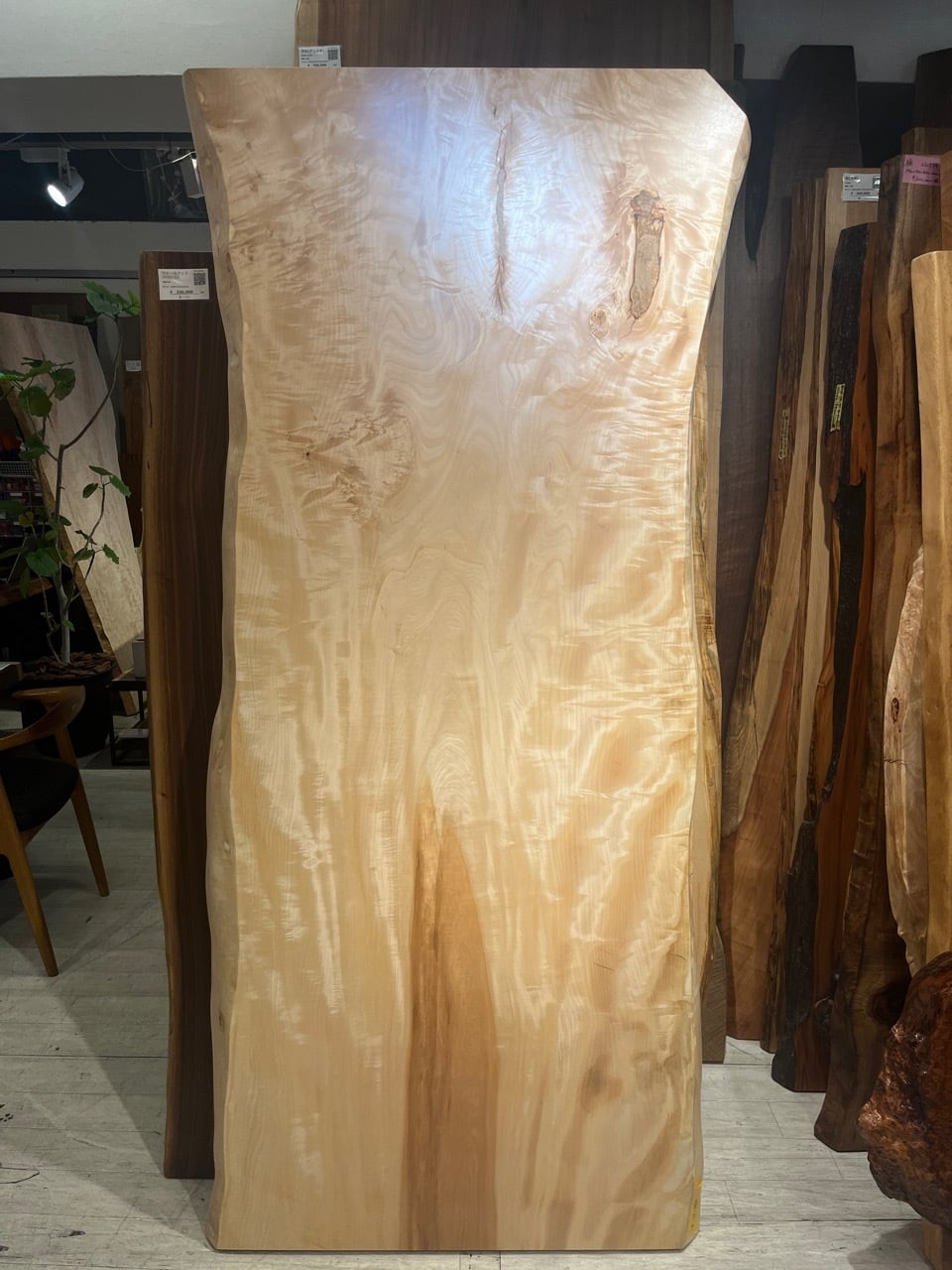 sale■衝立～ 栃の１枚板 栃（トチ） 一枚板 | 千年家具 - 一枚板 テーブル専門店