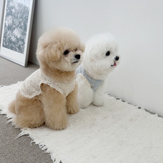 〈予約アイテム〉EYOU ノースリーブ / キャンディバーフォレスト(アイボリー)