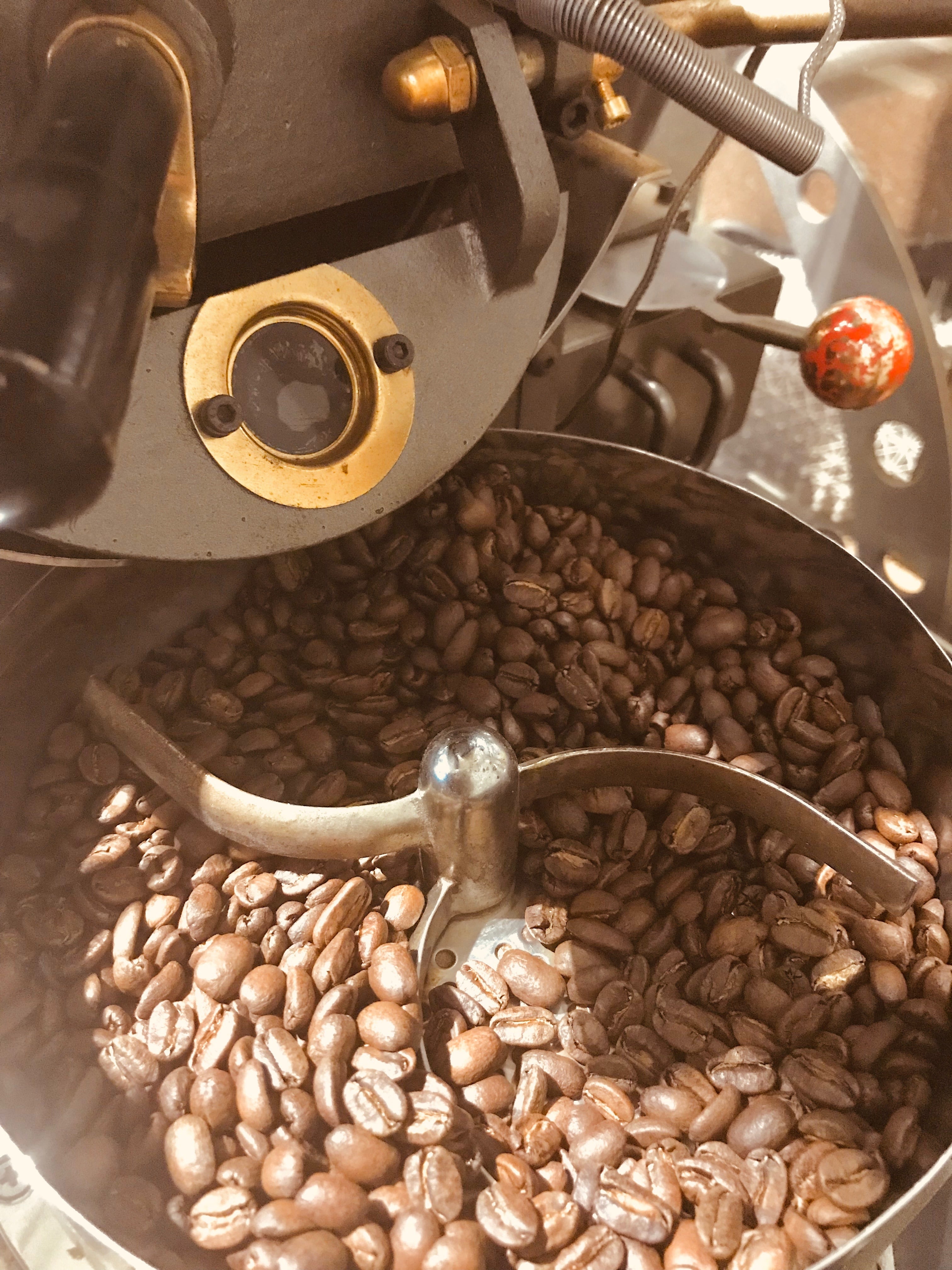 2021春夏新色】 自家焙煎コーヒー豆 ブラジル グアリロバ農園 希少種トパージオ