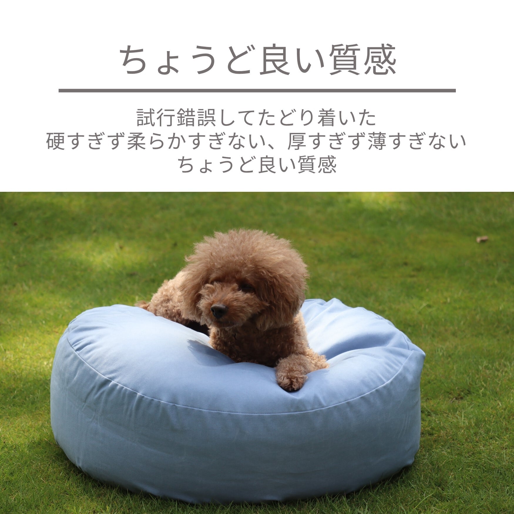Hakusan]まるで雲の上にいるような寝心地！！ビーズ・デ・クッション